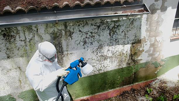 Top rated local Mold Remediation specialists in Garrett, PA